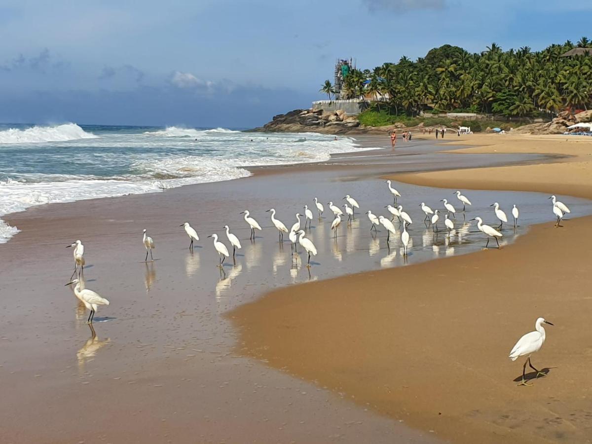 Sun Tara Beach Resort Kovalam Extérieur photo